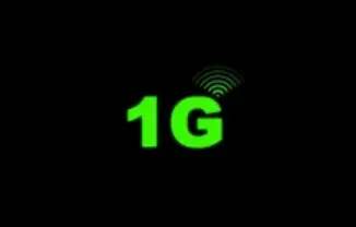1G